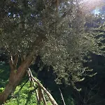 Casa D'amare